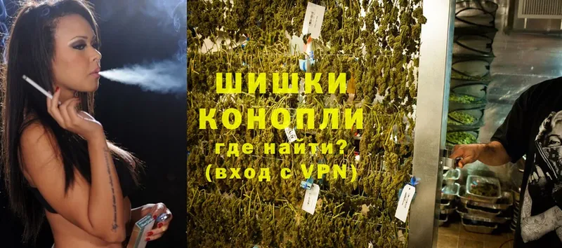 купить наркотик  Краснознаменск  Канабис OG Kush 